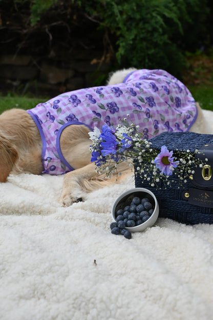 The Blueberry Gingham Cooling Vest