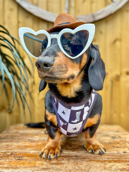 The Wild West Cooling Vest