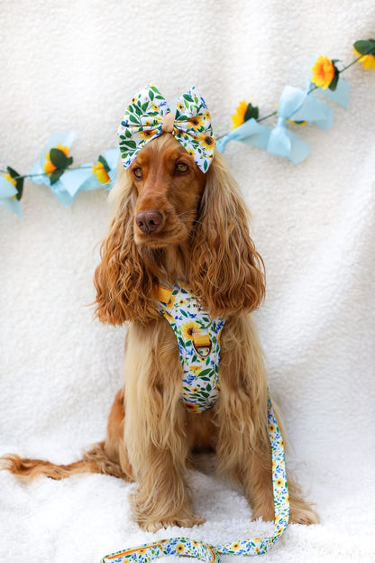Sunny Sunflowers Adventure Paws Harness