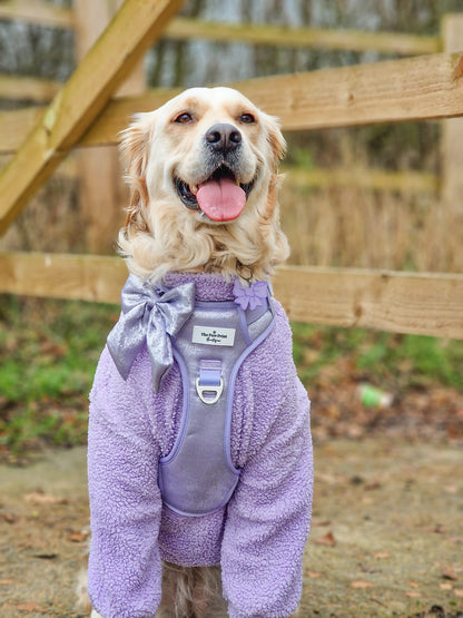 The Lavish Lilac Bow Tie