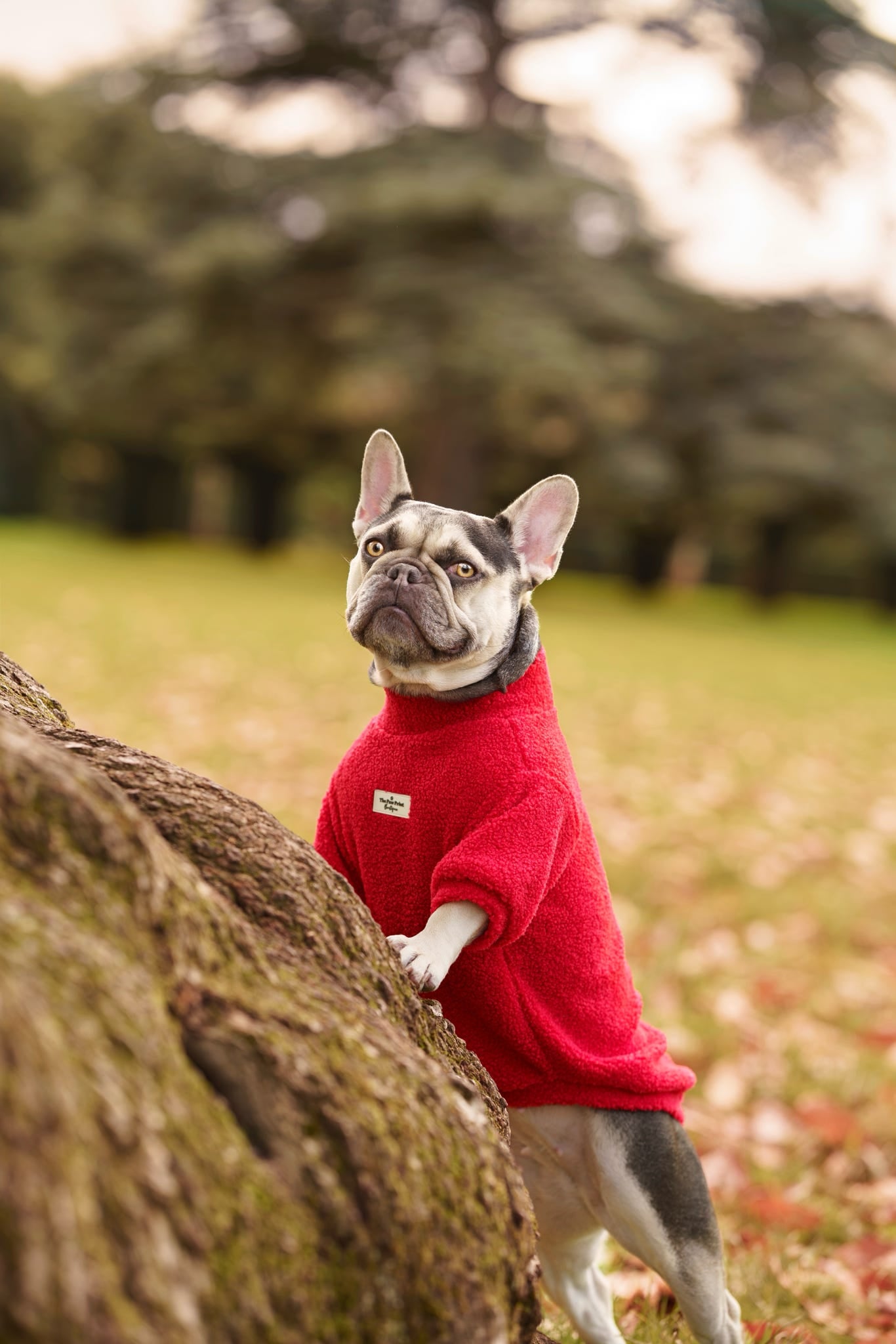 Teddy Fleece - Red Berry