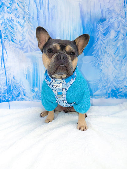 Percy Penguin Adventure Paws Harness