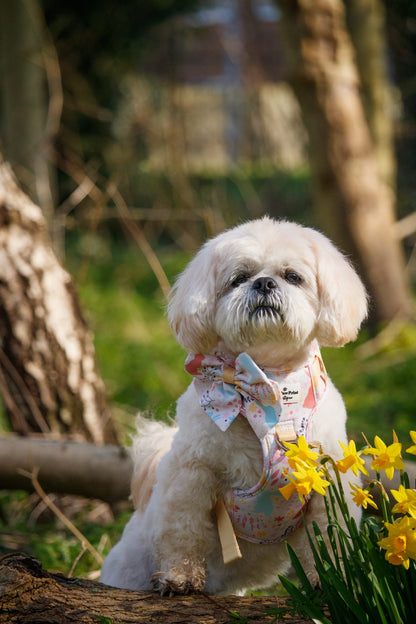 Hop into Bloom Adventure Paws Harness