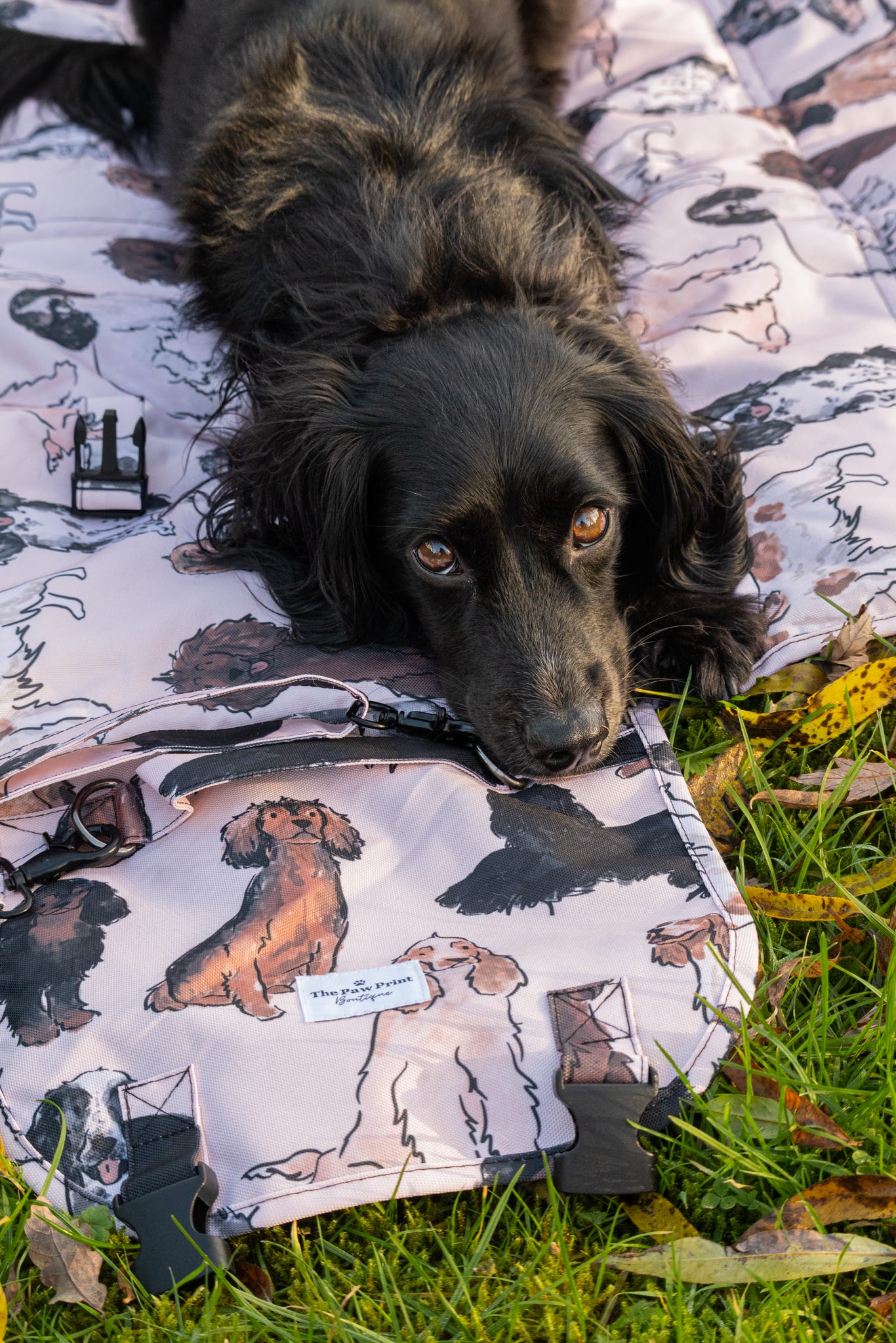 The Spaniel Travel Mat