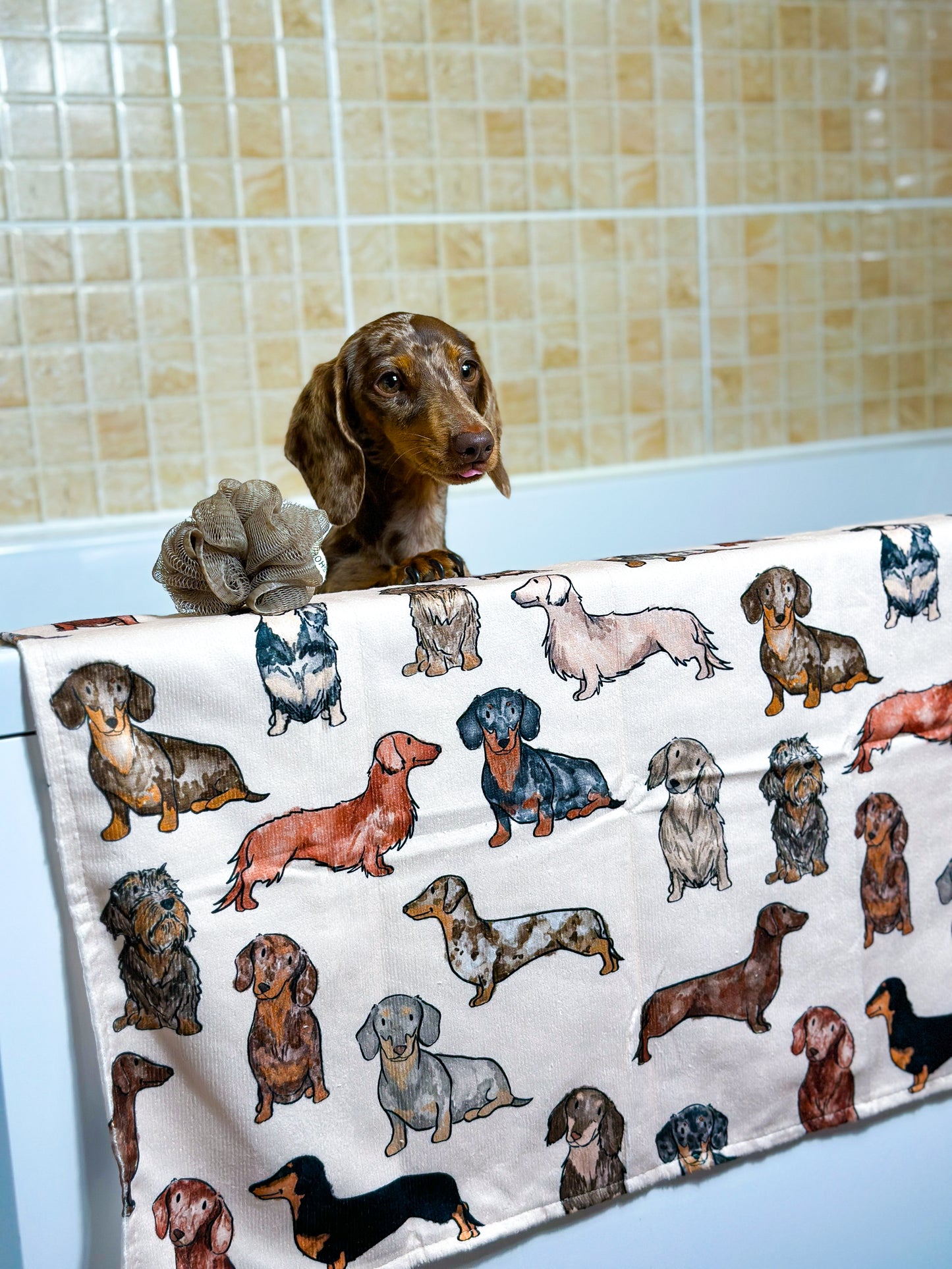 The Dachshund Dog Towel