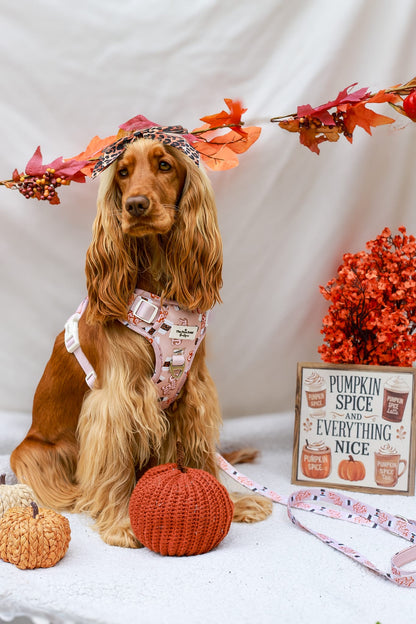 Spice Girl Adventure Paws Harness