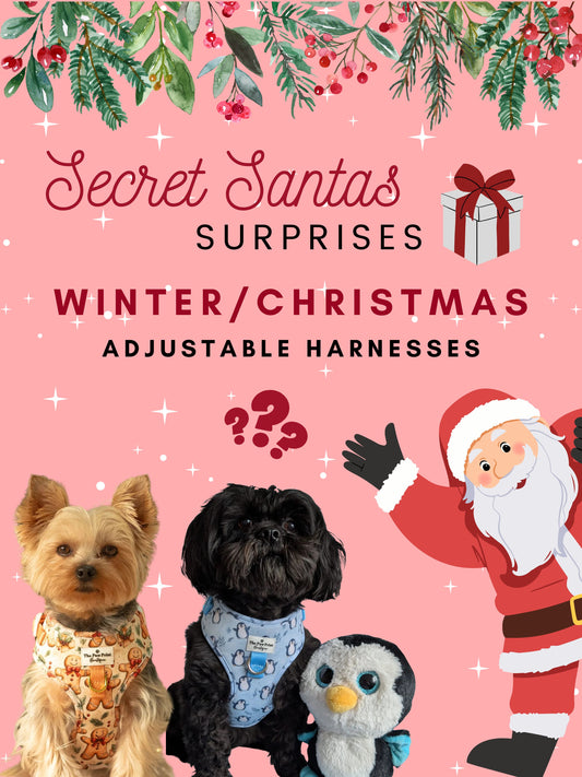 Secret Santas Surprise Winter/Christmas Harness - (Adjustable Style)