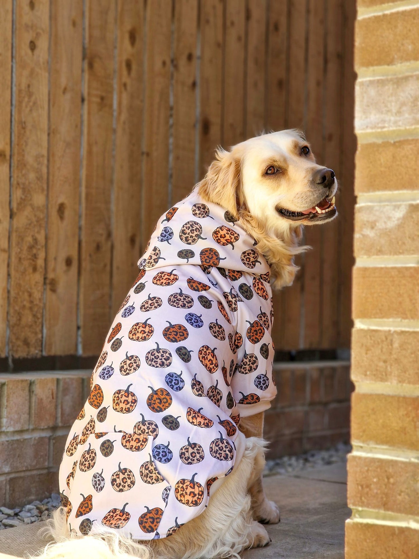 Leopawrd Pupkins Hoodie (All over Pumpkins)