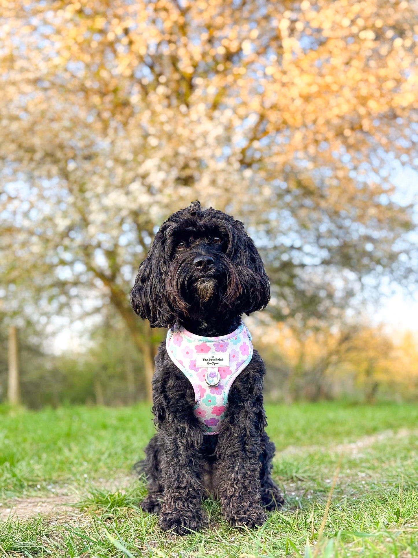 The Flower Power Adjustable Harness