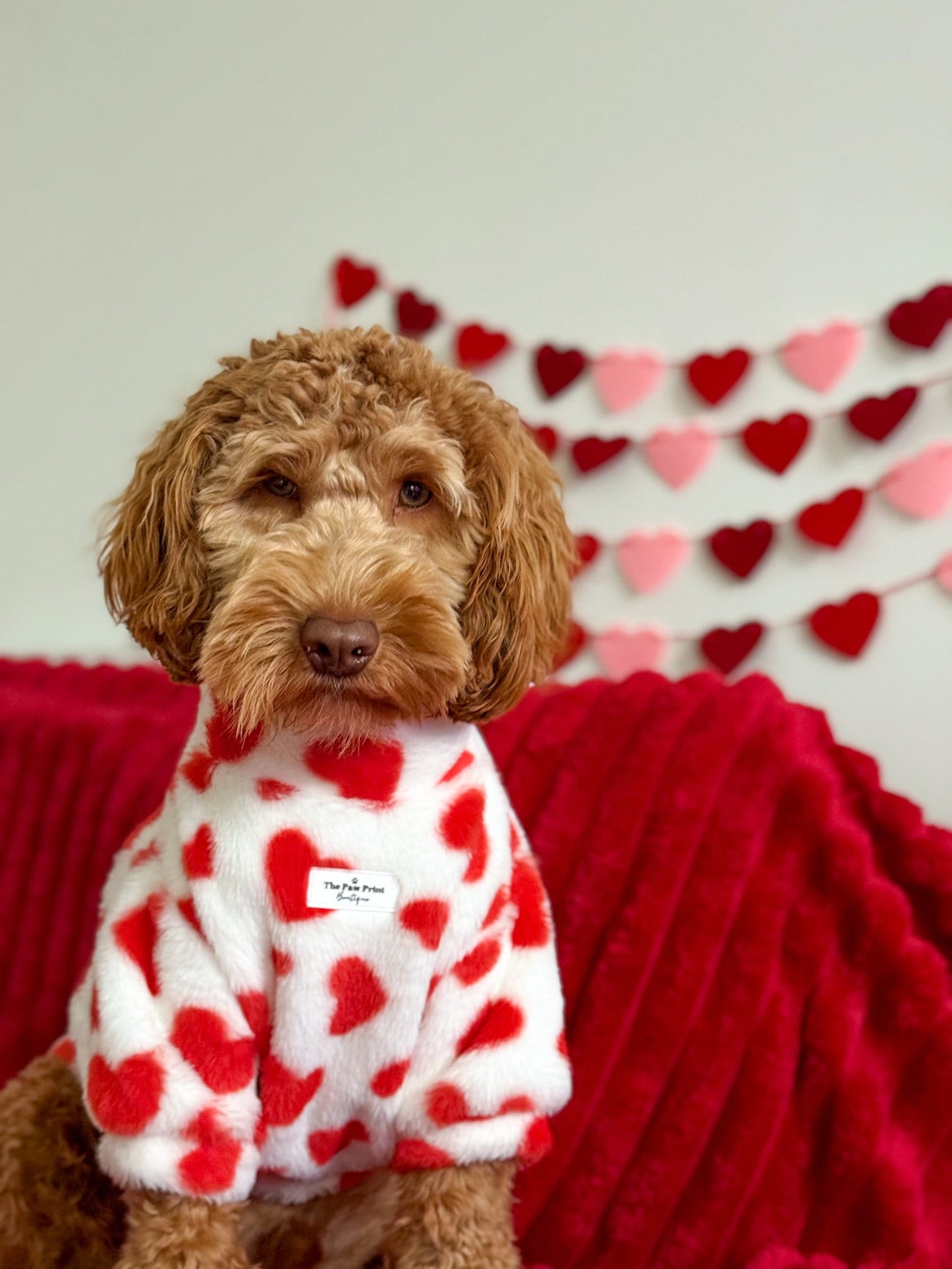 The Love Hearts Fluffy & Fabulous Fleece - Red & White