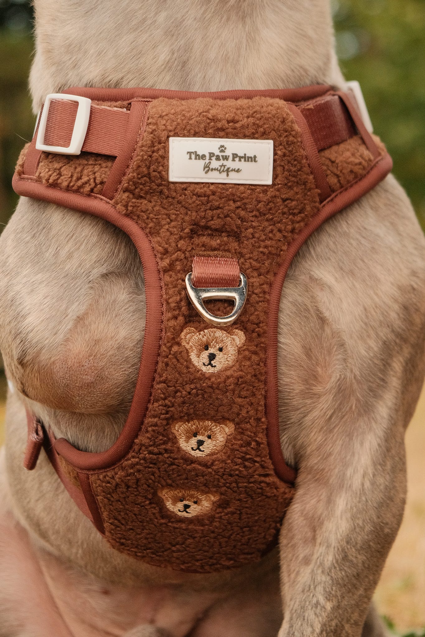 The Embroidered Little Bear Cub Adventure Paws Harness