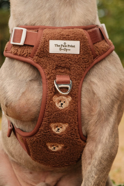 The Embroidered Little Bear Cub Adventure Paws Harness