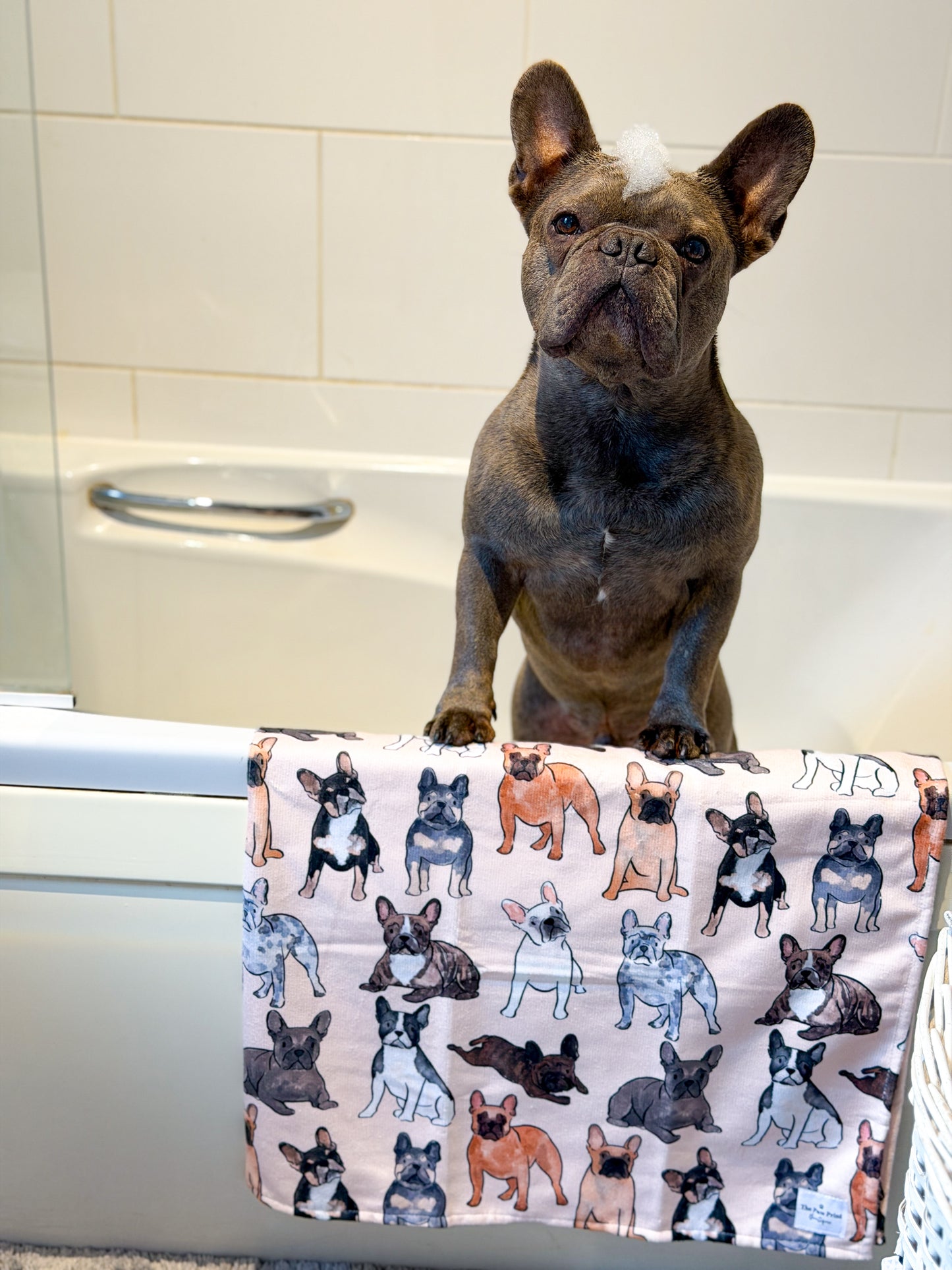 The French Bulldog Dog Towel
