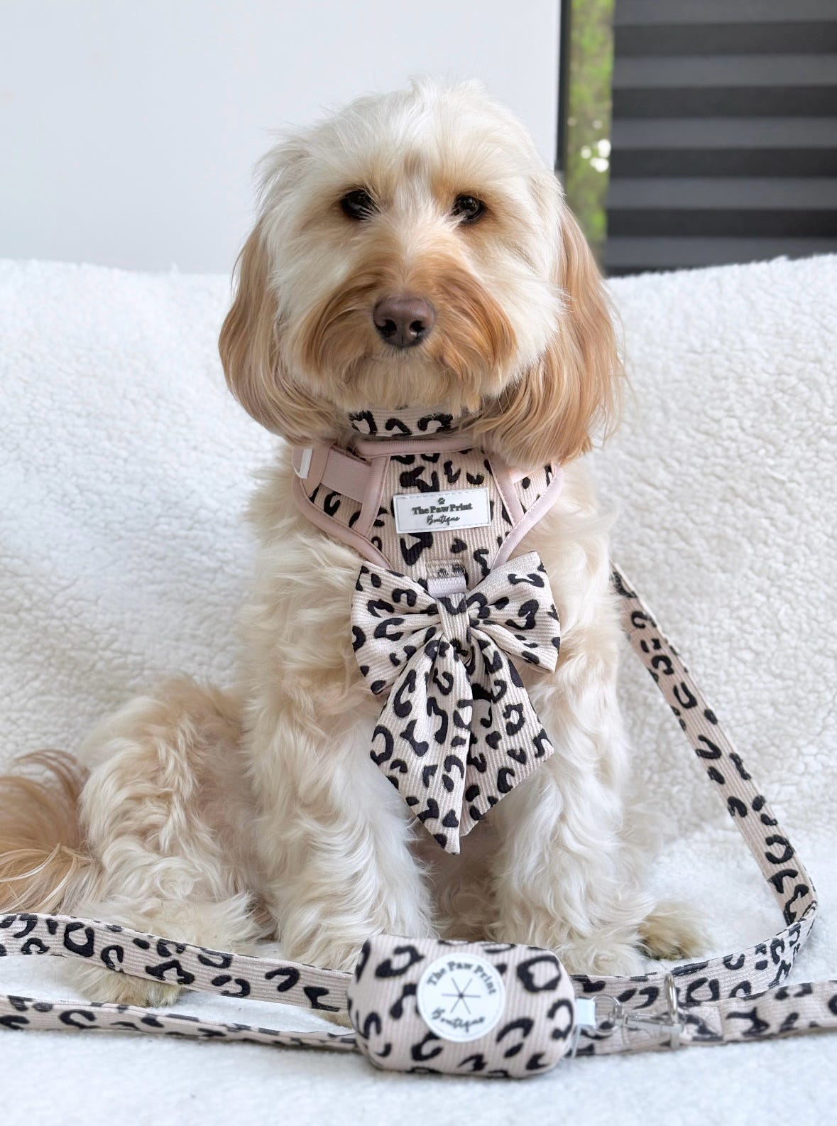 The Luxe Leopard (Beige) Bow Tie