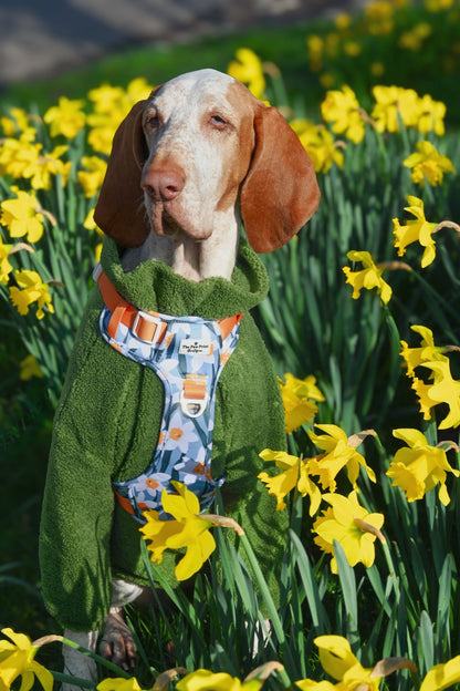 Daffodil Daze Adventure Paws Harness