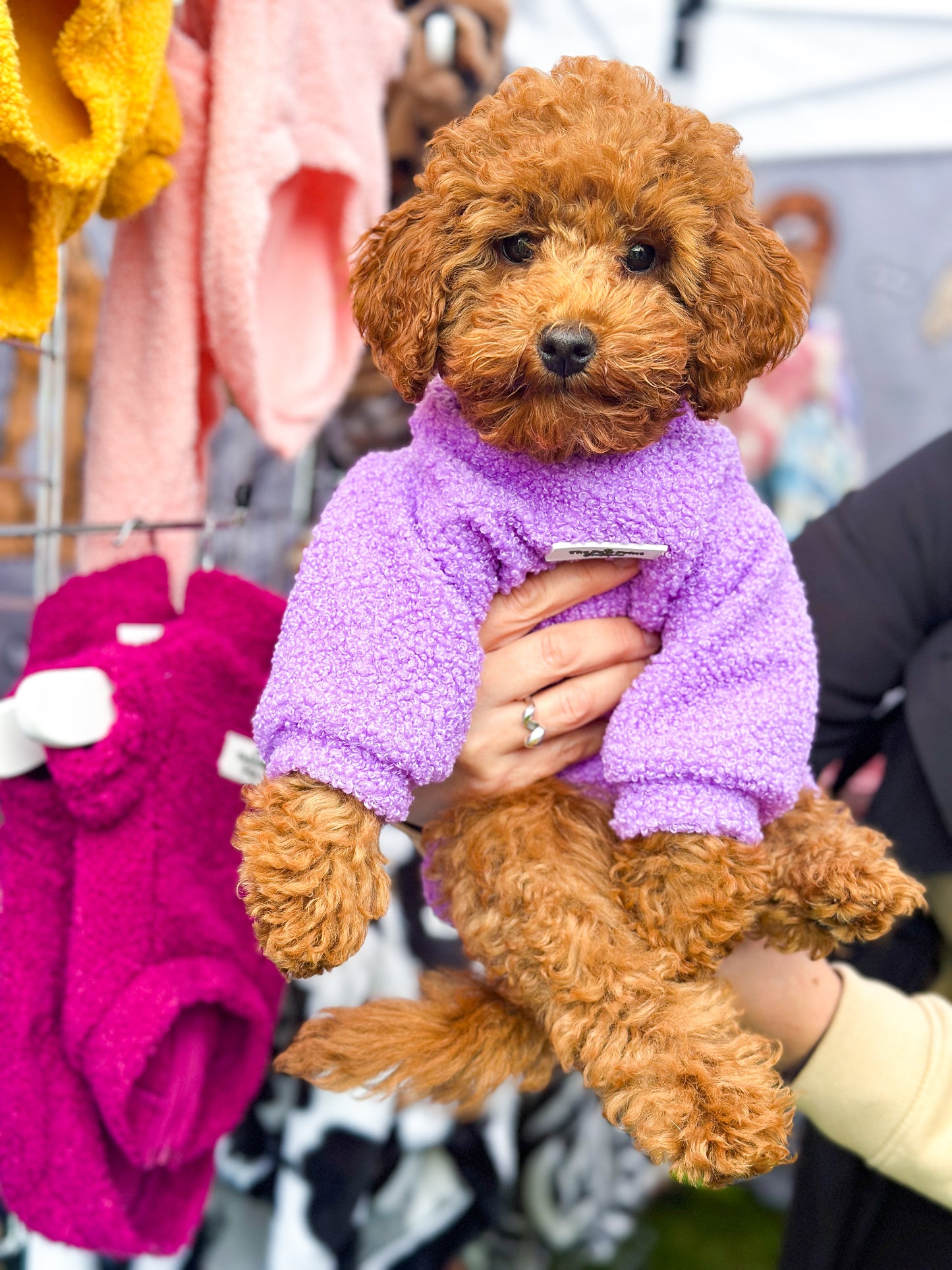 Teddy Fleece - Lavender