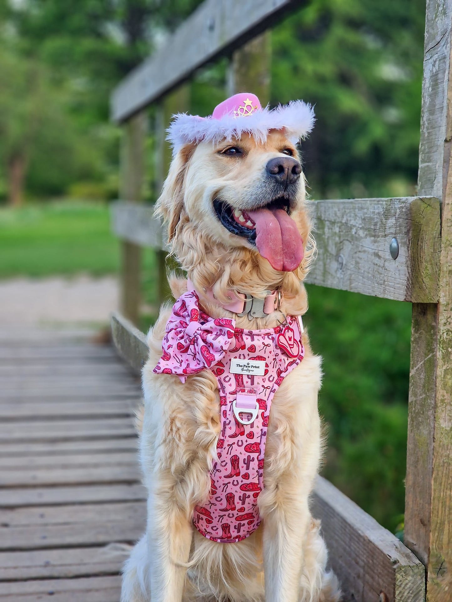 The Giddy up Pup Bow Tie
