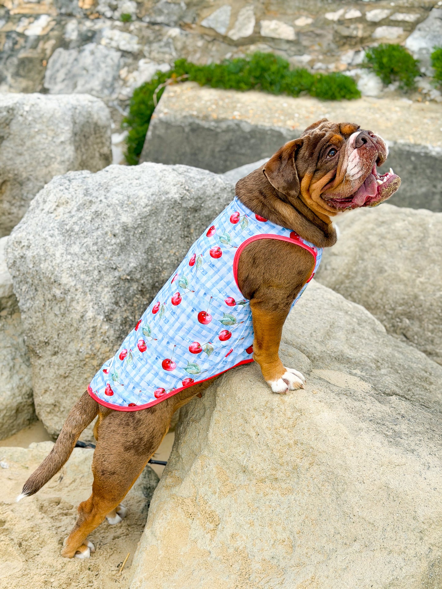 The Cherry Gingham Cooling Vest