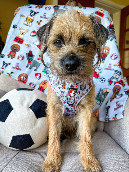 The AFC Bournemouth Adjustable Harness