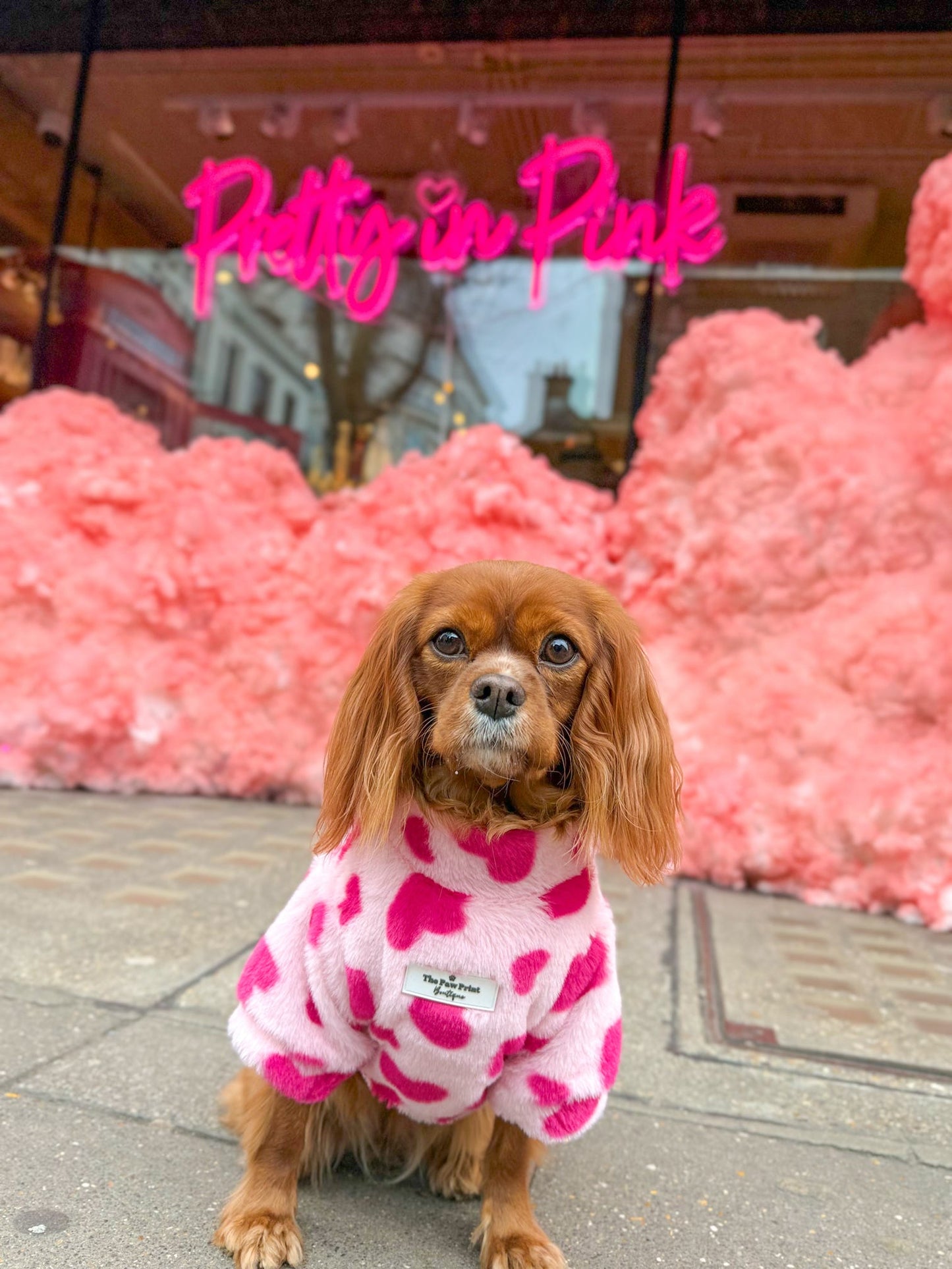 The Love Hearts Fluffy & Fabulous Fleece
