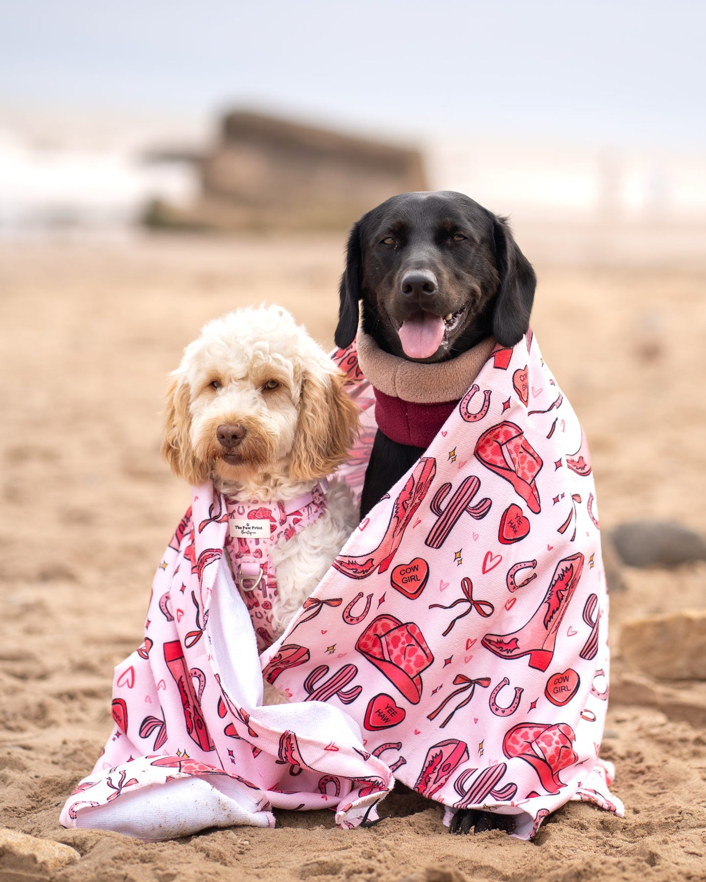 Giddy up Pup Beach Towel