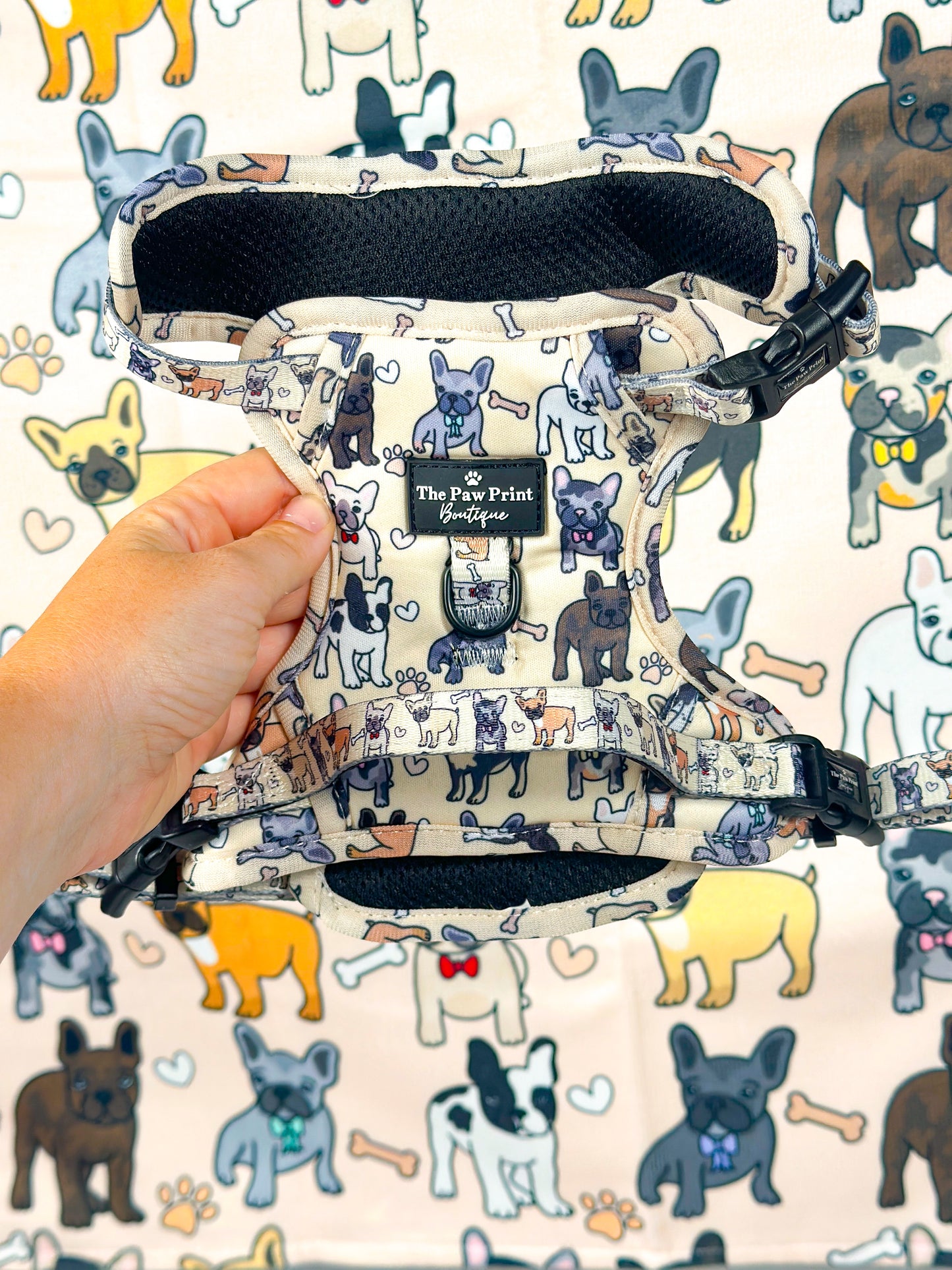 The French Bulldog Adventure Paws Harness