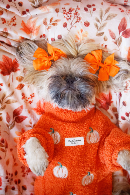 The Embroidered Pumpkins Teddy Fleece