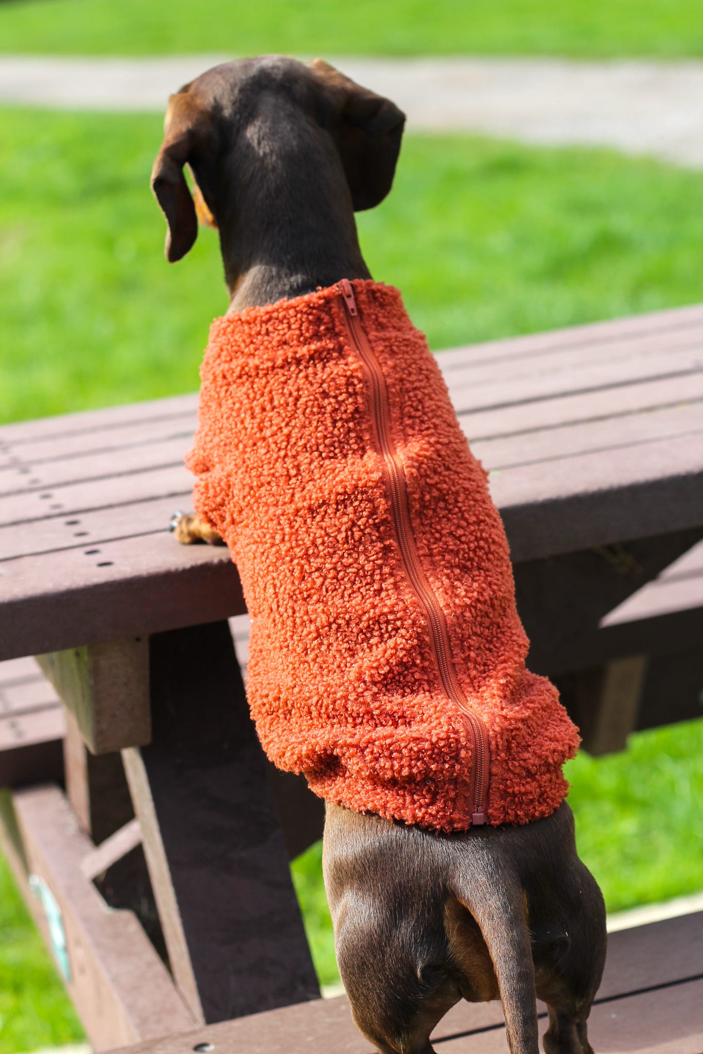 Teddy Fleece - Burnt Orange