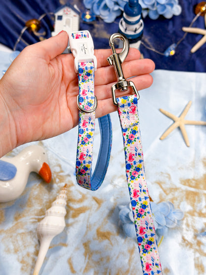 Santorini Seagull Collar