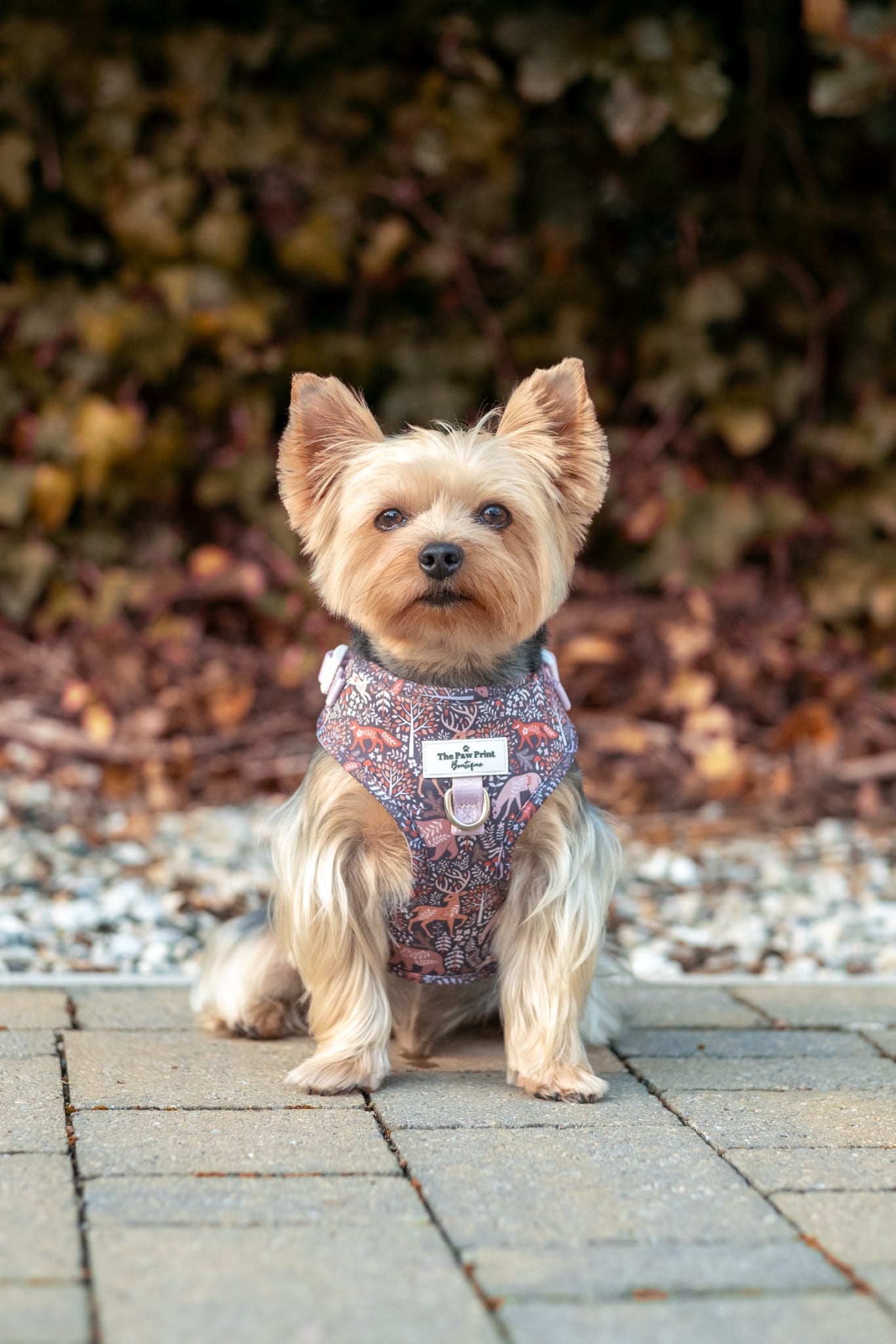 Woodland Wilderness Adjustable Harness