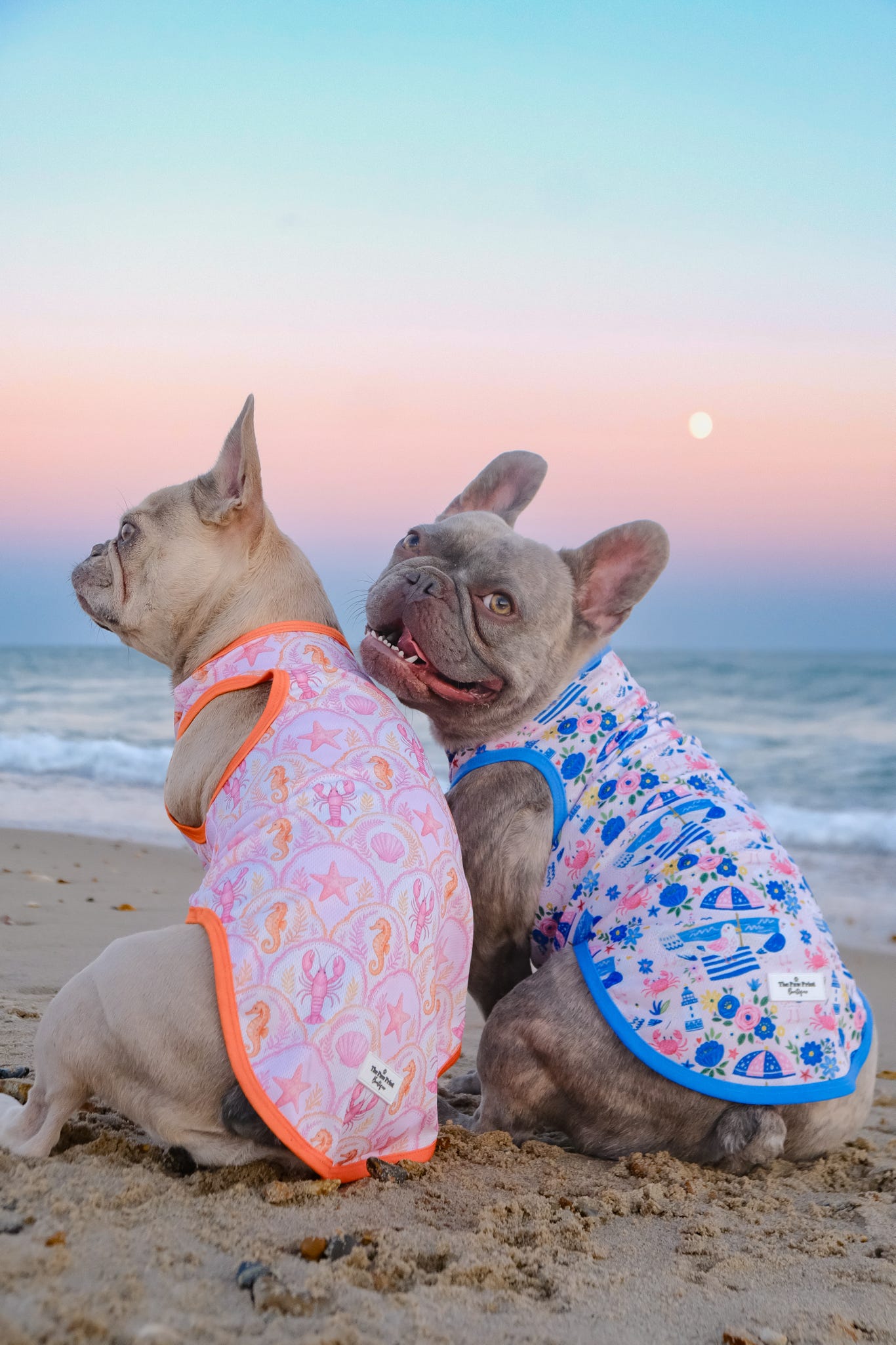 Under the Sea Cooling Vest