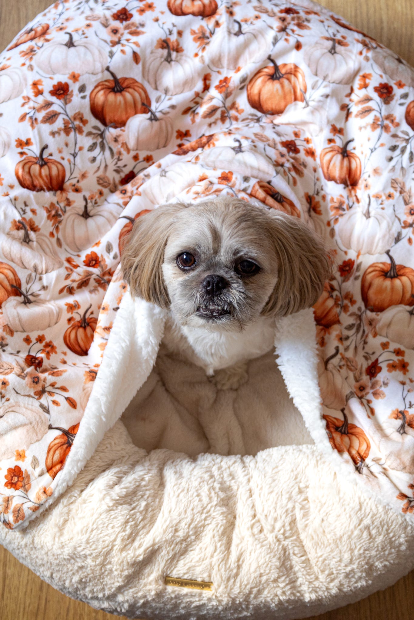 Pupkin Patch Dog Blanket