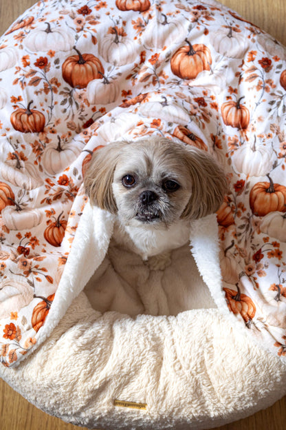 Pupkin Patch Dog Blanket