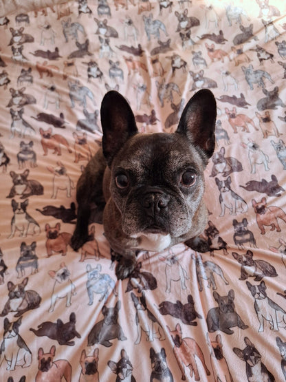 The French Bulldog Human Blanket