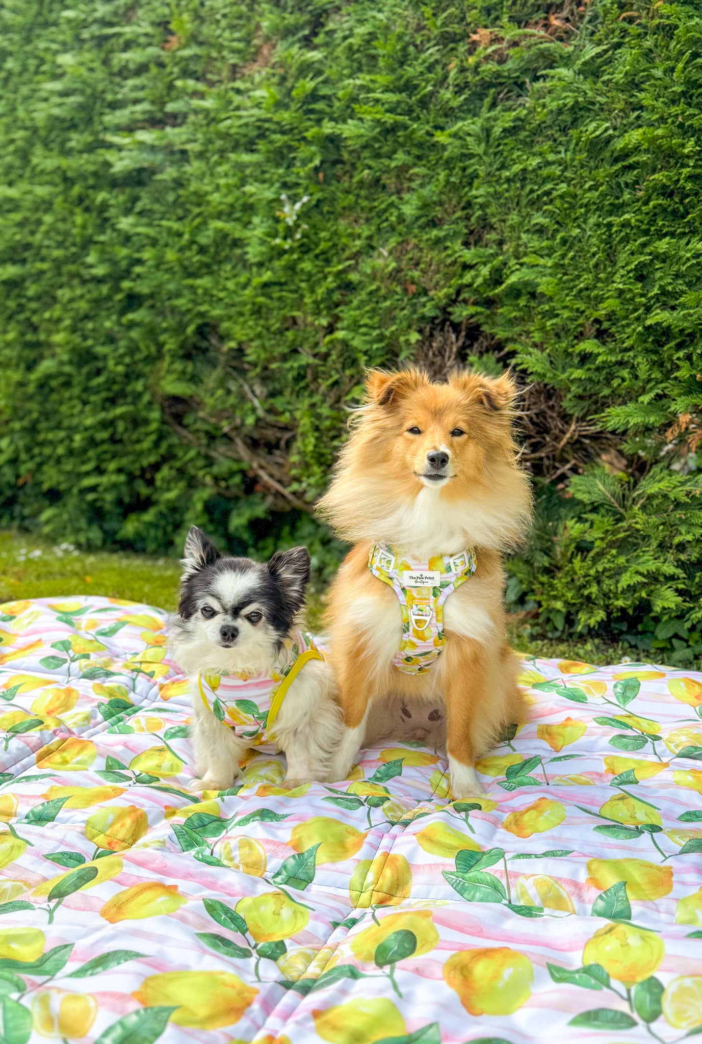 La Dolce Vita Picnic Mat