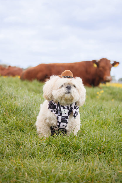 The Wild West Adventure Paws Harness
