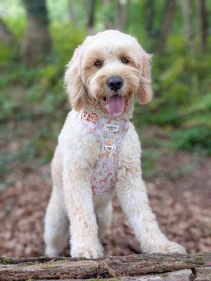 The Graceful Giraffe Adventure Paws Harness