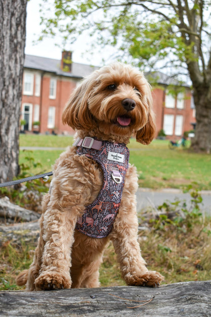 Woodland Wilderness Adventure Paws Harness