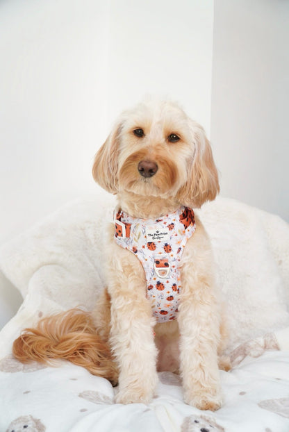 Ladybird Lane Adventure Paws Harness