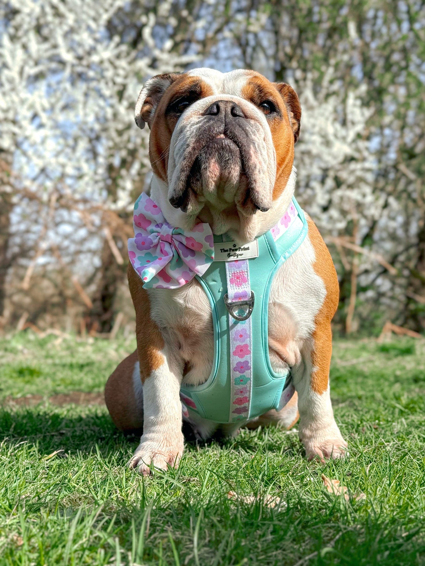 The Minty Meadows / Flower Power Bow Tie