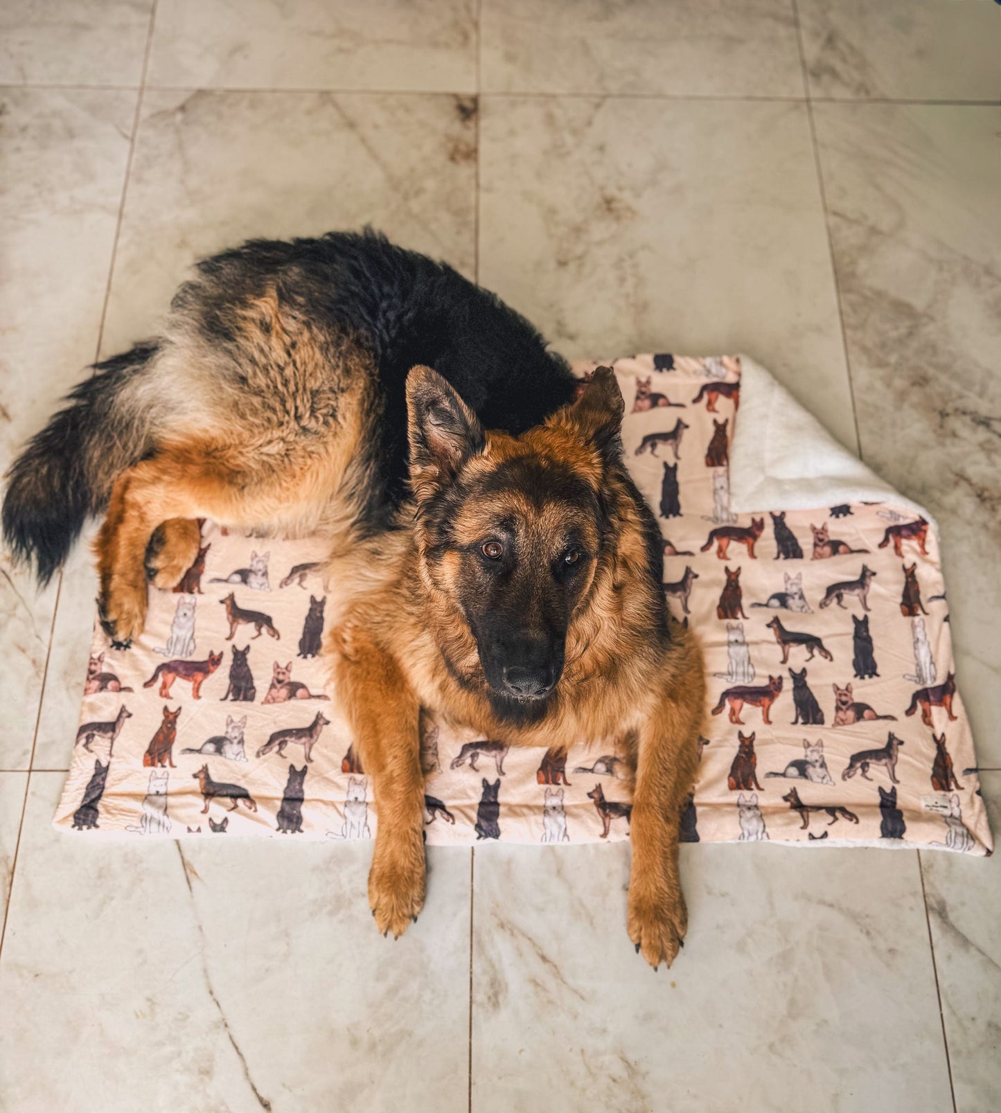 German Shepheard Dog Blanket