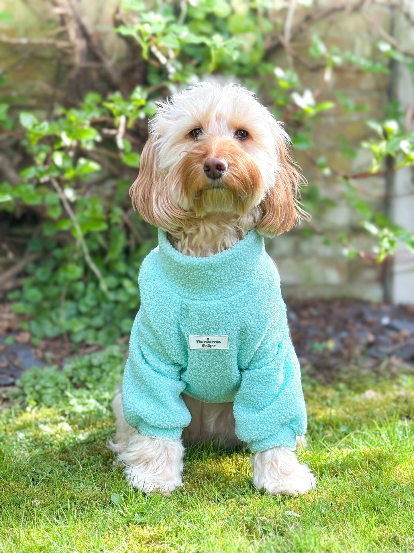 The Mint Teddy Fleece