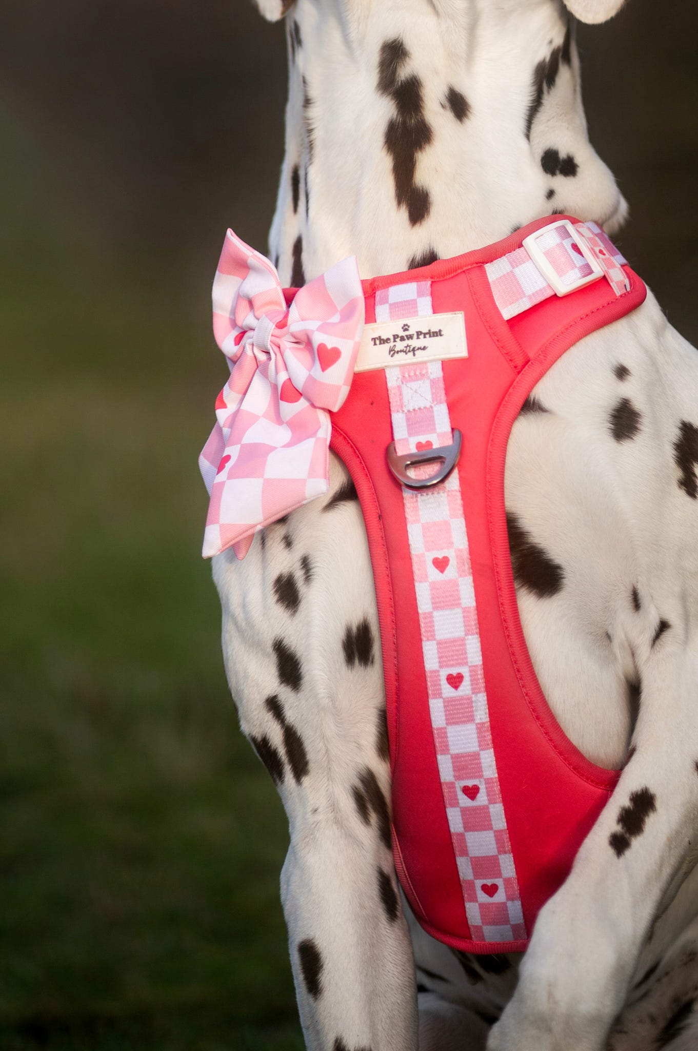 The Fur-ever Love Adventure Paws Harness