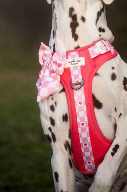 The Fur-ever Love Adventure Paws Harness