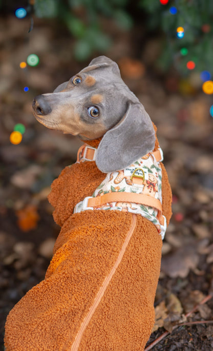 Gingerbread Grove Adventure Paws Harness