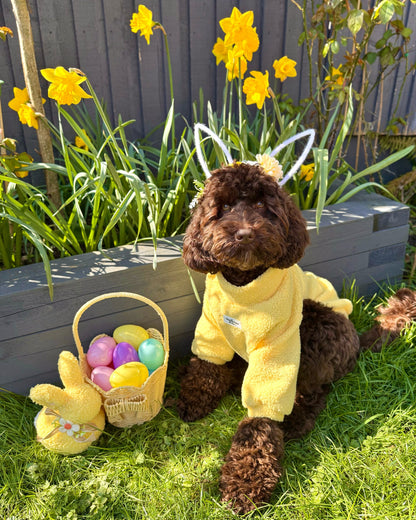 Teddy Fleece - Buttercup