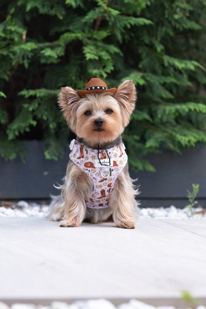The Howdy Pawtner Adjustable Harness