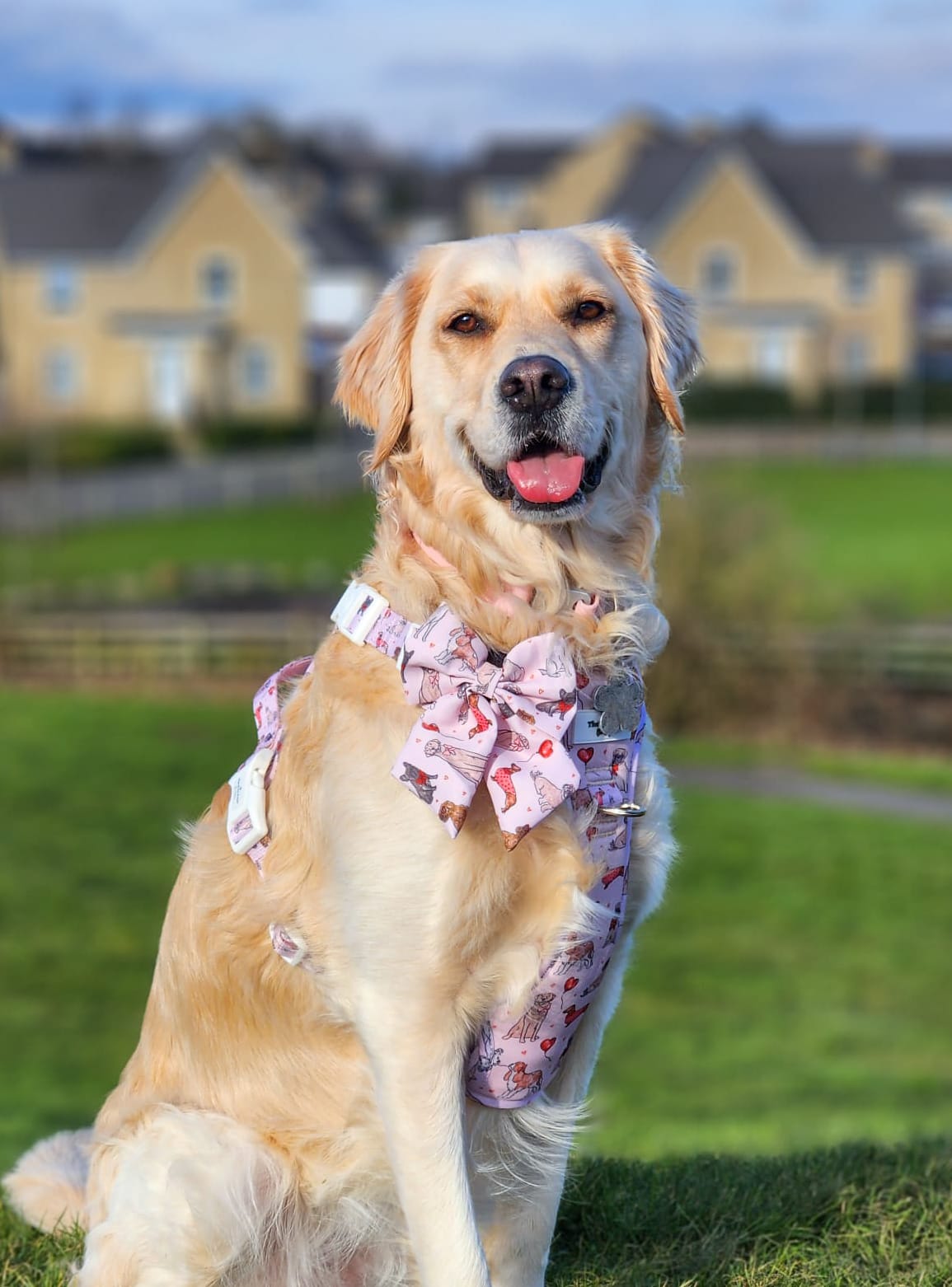 The Puppy Love Bow Tie