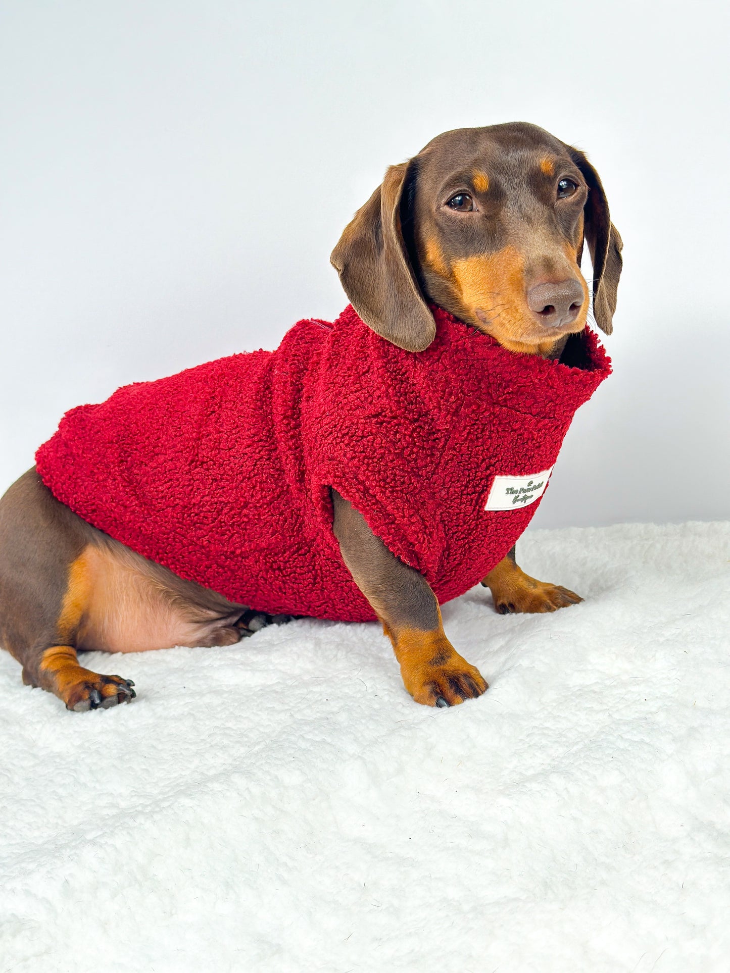 The Mulberry Teddy Fleece
