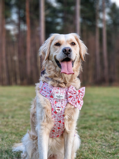 The Bows & Berries Adventure Paws Harness
